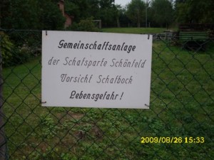 Todesängste in Pfuhlsborn